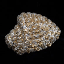 Load image into Gallery viewer, A BRILLIANT- SET FANTASY SHELL CLUTCH