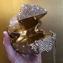 Load image into Gallery viewer, A BRILLIANT CRYSTAL MONEY BAG CLUTCH