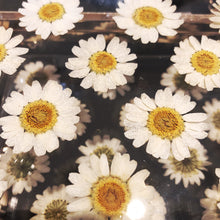 Load image into Gallery viewer, A PERSPEX CLUTCH WITH REAL DAISIES