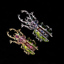 Load image into Gallery viewer, A SPOTTED STAG BEETLE BROOCH
